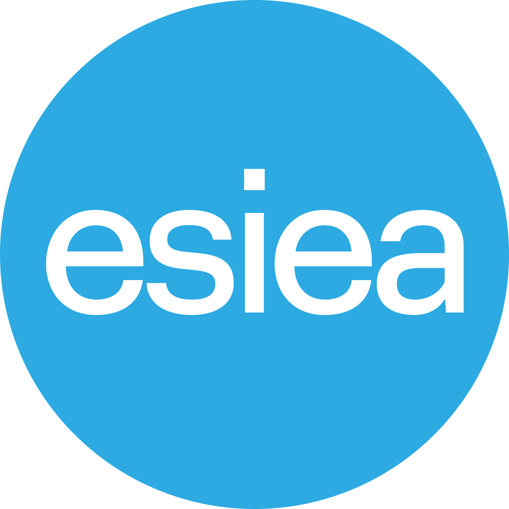 Photo de profil de ESIEA - Ingénieur·e·s d'un numérique utile