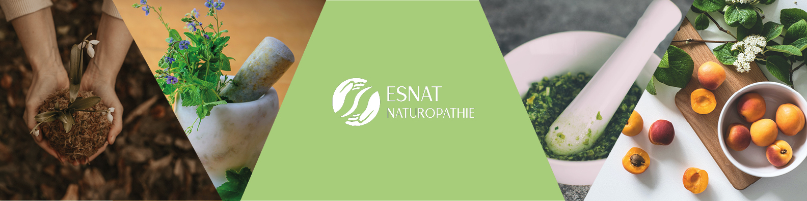 Photo de couverture de ESNAT Paris - Naturopathie